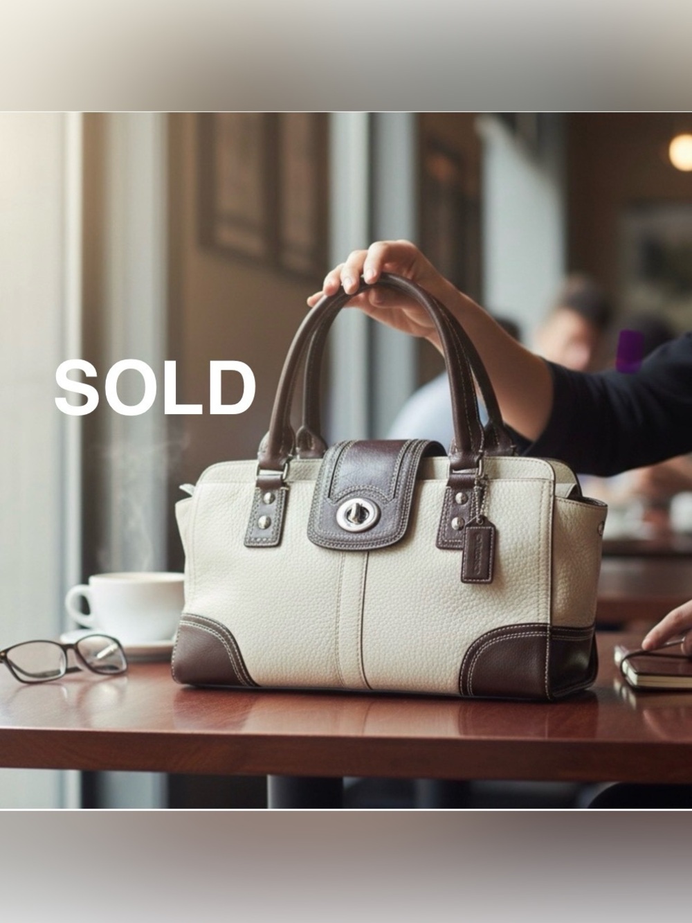 Coach Hamptons Capacity Carryall Satchel 2009 - F13961